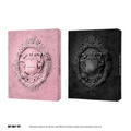BLACKPINK《KILL THIS LOVE》